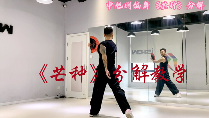 申旭阔编舞 《芒种》镜面分解 跟音乐版 请往前翻投稿哦