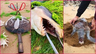 Catching Seafood 🦀🐙 ASMR Relaxing (Catch Shark , Catch Fish ,Deep Sea Monster ) #478