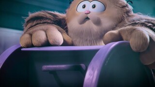 我是流浪猫，但我孩子不是
