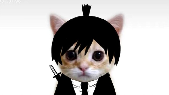 Asakawa Meow, mày sẽ bị tống thẳng xuống bồn cầu theo cách thảm khốc nhất...