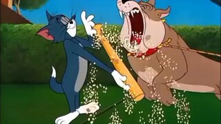 Khi cartoon và anime kết hợp