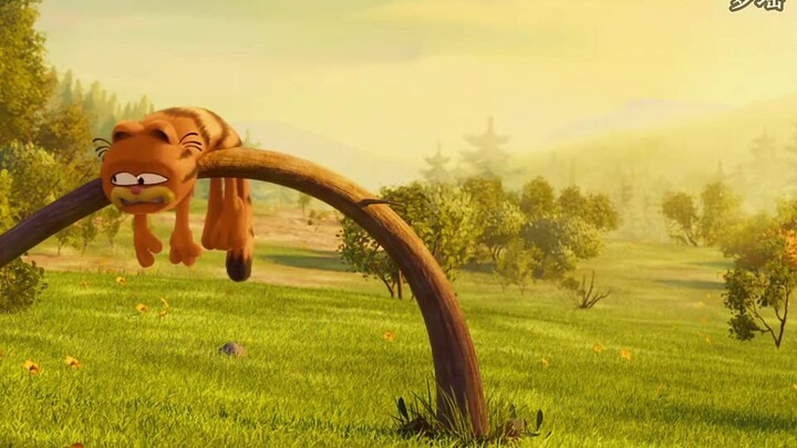 Set 4 | #搞笑 #加菲猫 #动画 #治愈系猫咪