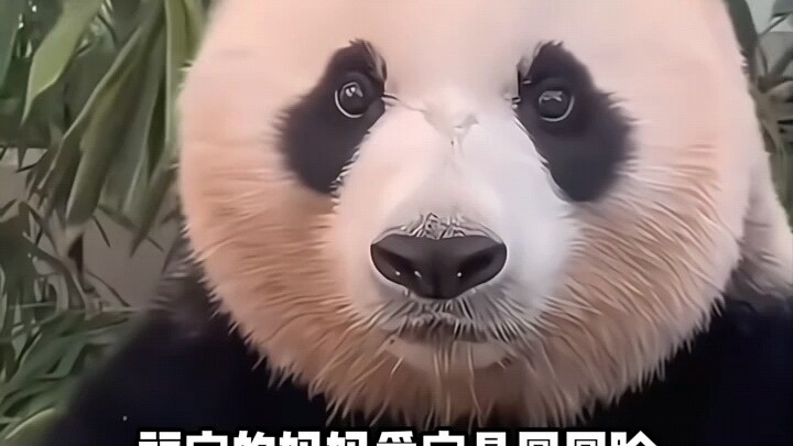 Trấn Sinh đi ngang qua bị vạ lây