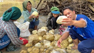 ความสุขที่หลายคนไฝ่หา ขุดกลอยในป่าหน่อไม้ กับบรรยากาศครอบครัว