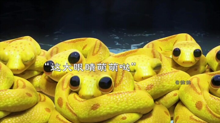 This is the first time I have seen such a cute snake.