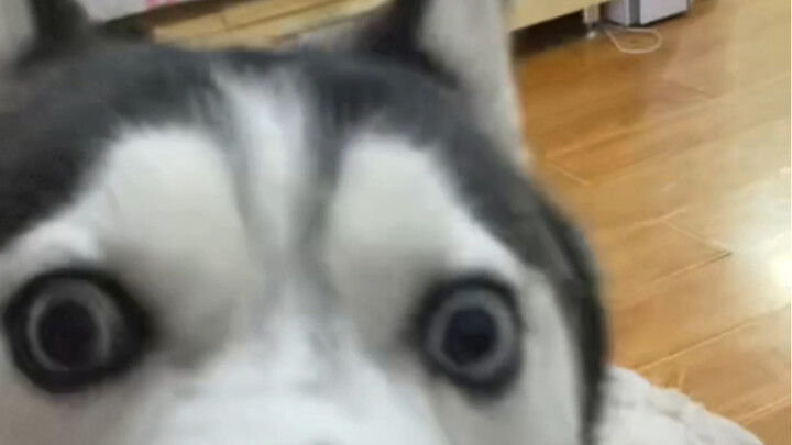 I thought there’d be no reaction at all... turns out I was overthinking it.