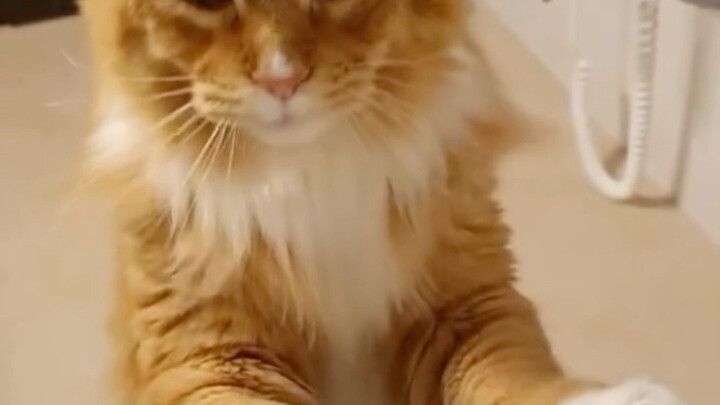 แบบนั้นมันอันตรายมาก 😿