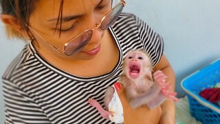 Sharply Angry!! Tiny adorable Luca crying loudly angry with Mom for late milk