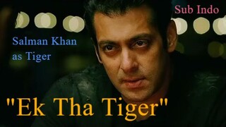 Film Tahun 2012 | Ek Tha Tiger | Salman Khan