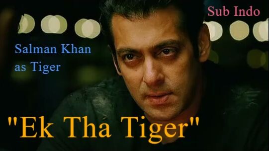 Film Tahun 2012 | Ek Tha Tiger | Salman Khan