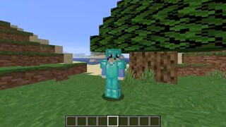 Minecraft: Bagaimana jika semua blok MC diregangkan? akan seperti apa