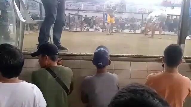 malanday cockpit arena