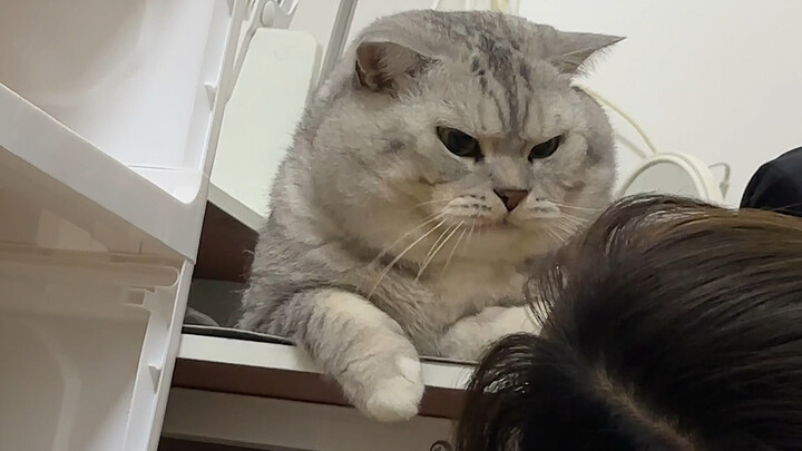 Cô Út hỏi Đại Tráng những câu hỏi kỳ lạ