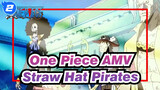 [One Piece AMV] Straw Hat Pirates - Kizuna_2