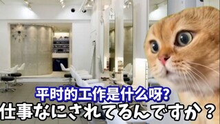 【熟肉】在南桐片制作公司打工的日常（发工资日篇） | 猫meme