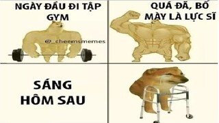 Ảnh chế MEME hài hước#61|| Lần đầu tập gym :v