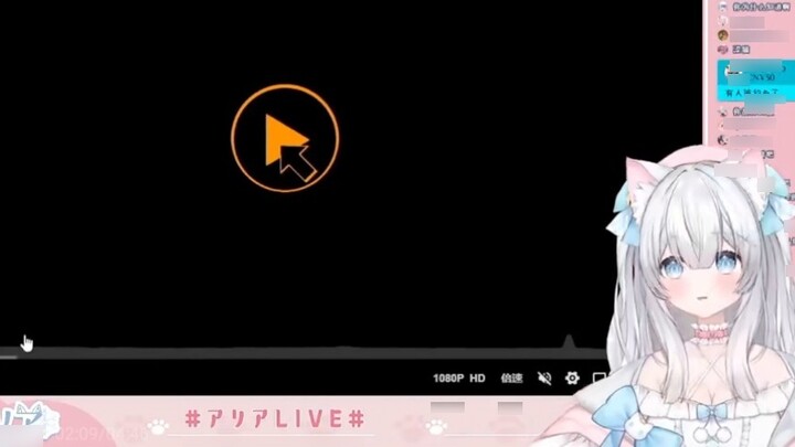 This white cat really understands