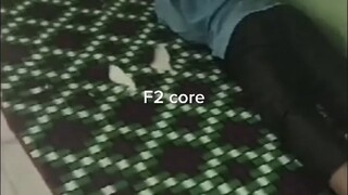 f2 core