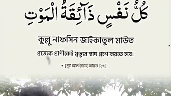 জীবন নাইরে পাগল