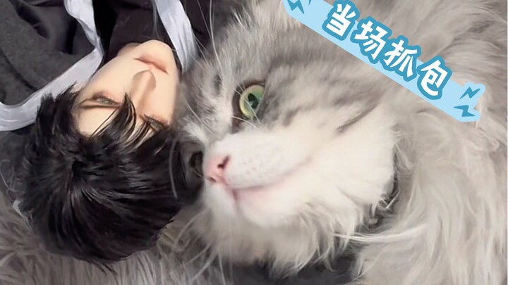【BJD】"The cat is good, Li Shen is bad."