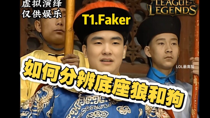 كيف تفرق بين الذئب والكلب من القاعدة؟