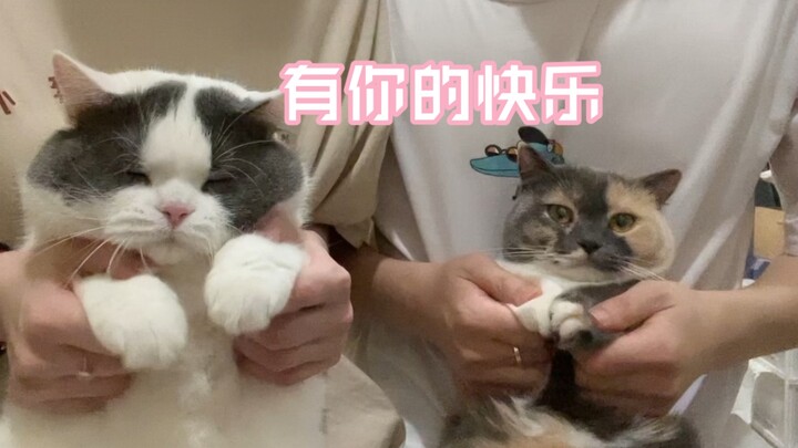 Berdansa dengan pacar tercintaku