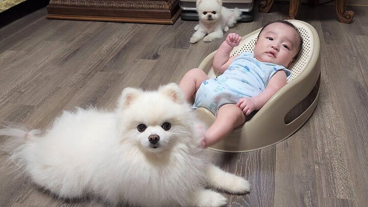 Rupong has a little brother! The dog’s amazing way of soothing the baby.