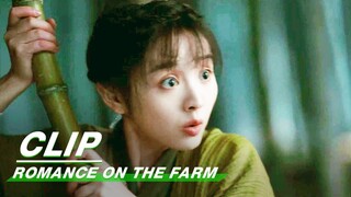 Lian Maner Escapes and Meets Key Figures | Romance on the Farm EP01 | 田耕纪 | iQIYI