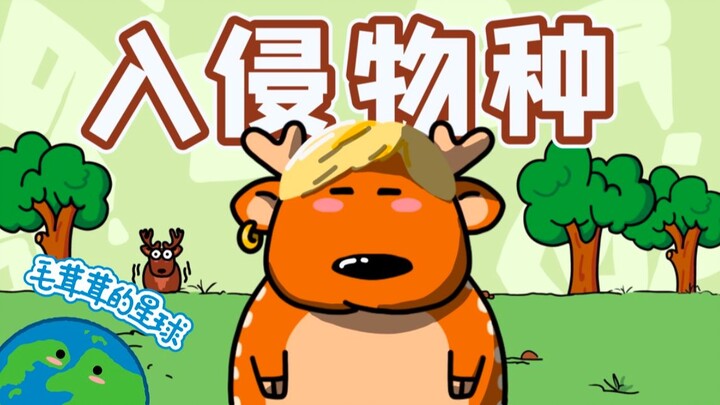 【غزال المسك】 هل أصبح راكب الآلهة الذي يمتطيه منذ ألف عام نوعًا غازيًا؟