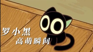 【罗小黑战记】小黑高萌时刻，每日一遍开心一整天