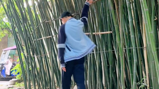 Tôi xin mạn phép hỏi người nhà tôi nếu không chỉnh sửa hay mặc quần áo thì có ảnh hưởng lớn đến nhận