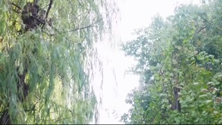 สาวน้อยไม่เคยคิดว่าพ่อชราพิการของเธอแท้จริงคืออาจารย์ผู้เก่งกาจที่เหล่าท่าน