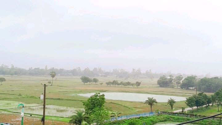 Nature