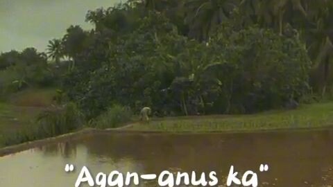 Agan -anus ka "Bilibili"