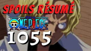 SPOILS RÉSUMÉ - ONE PIECE 1055