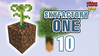 SkyFactory One 10 - Thú Cưng Mới Tuyển