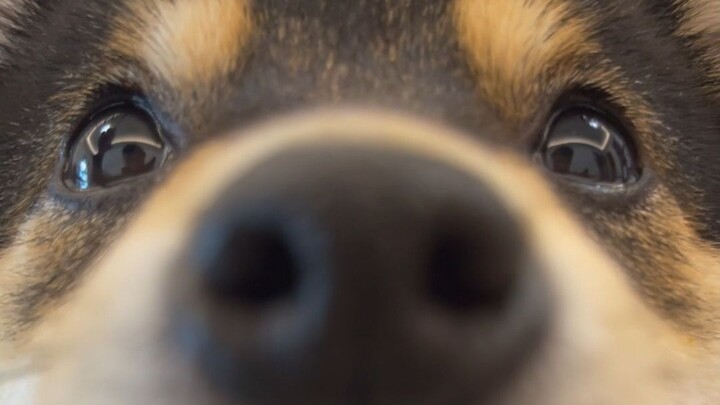 Hidung si kecil selalu basah—mau cium nggak?