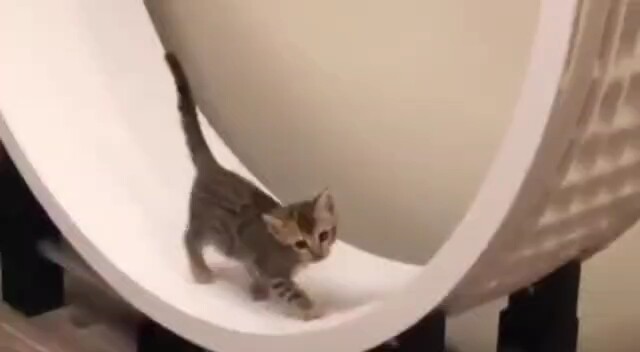 Máy phát điện thuê trẻ em lao động?!