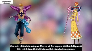 Sức Mạnh Thật Sự Của Kaido Luffy vs Bigmom Tộc Mink Hóa Sulong I One Piece Chương 987_ 5