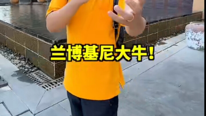 Lamborghini Aventador—does the ignition make your heart race?