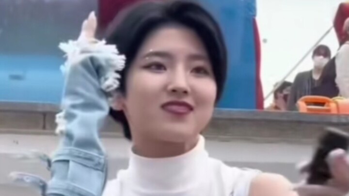 小岛花，雨虎队成员