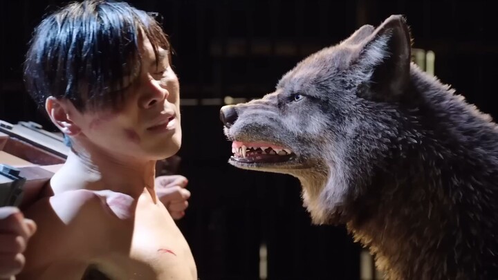best movies of 2025