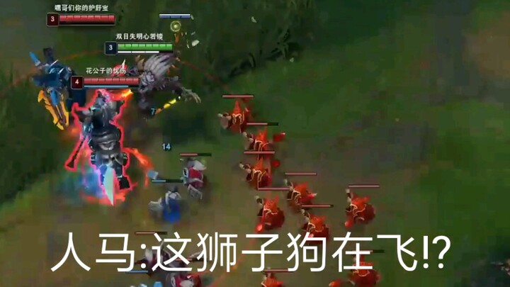 人马:这狮子狗在飞!?
