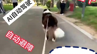 Zero carbon emissions + intelligent obstacle avoidance + one bowl of dog food for a morning's续航! Tur