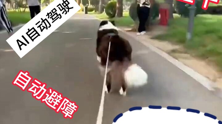 صفر انبعاثات كربونية + تجنب ذكي للعقبات + وعاء واحد من طعام الكلاب يكفي لصباح كامل! اتضح أن وسيلة ال