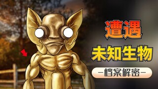 Encountering an unknown creature: A 6-meter-long one-eyed monster, is it an unknown creature or a mi