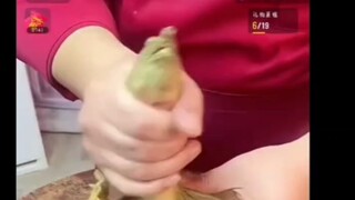 Kura-kura "666" Orang ini curang! !