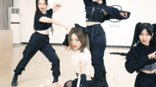 [SING Girl Group] รู้สึกอย่างไรบ้างที่ได้ออกแบบท่าเต้น BGM ของ "สมบัติของชาติ" "The Elephant King"?