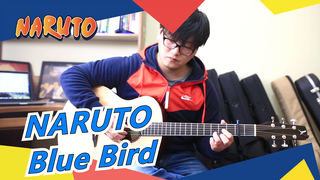 [NARUTO] [ACG Fingerstyle] OP Adaptation - Blue Bird| Avian Asuka Guitar Performance