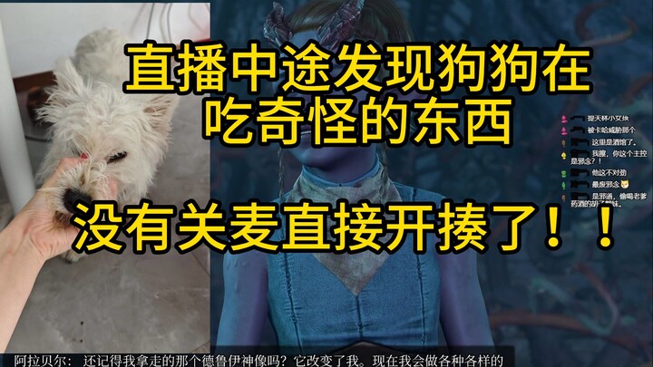 ช่างเป็นสตรีมเมอร์ที่ดีเสียจริง กำลังสตรีมอยู่ดีๆ ก็ลุกไปตีหมา